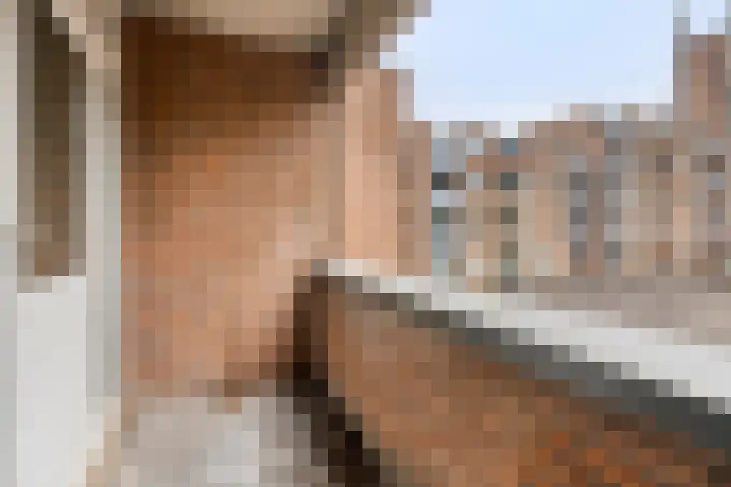 Kasteel Aldengoorstraat 45 C Maastricht thumbnail 8
