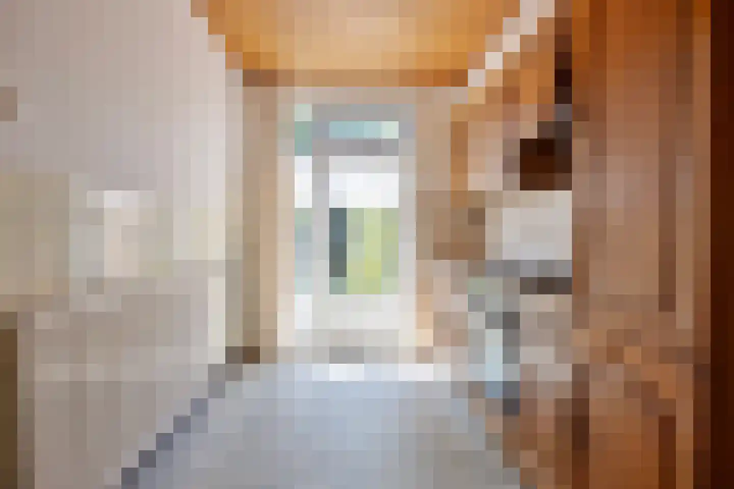 Kasteel Annendaelstraat 28 Roermond thumbnail 6