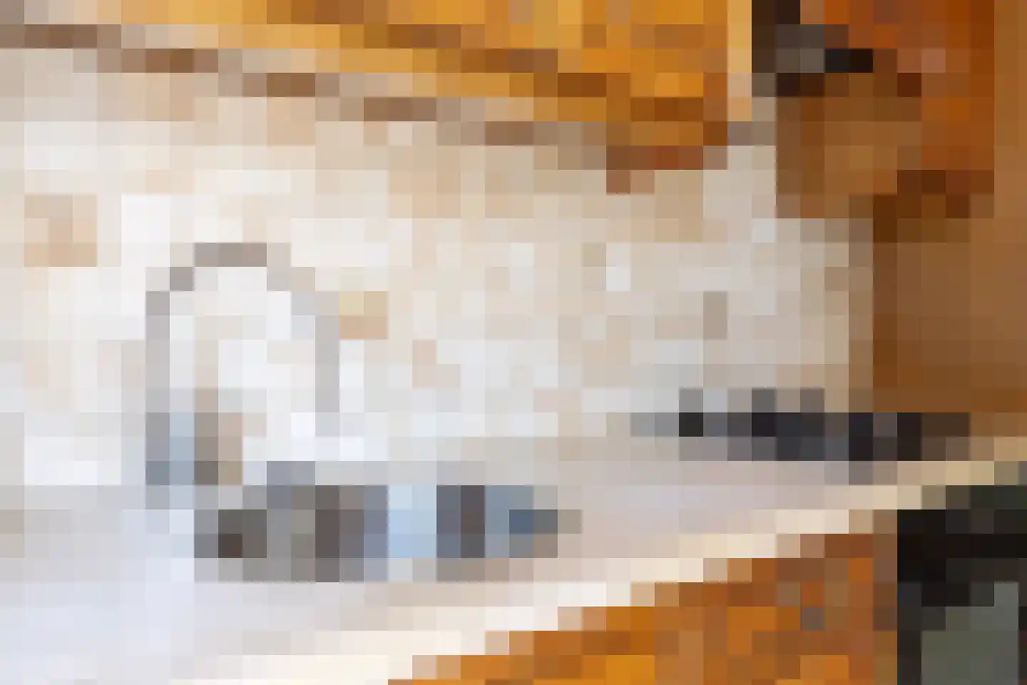 Kasteel Annendaelstraat 28 Roermond thumbnail 9