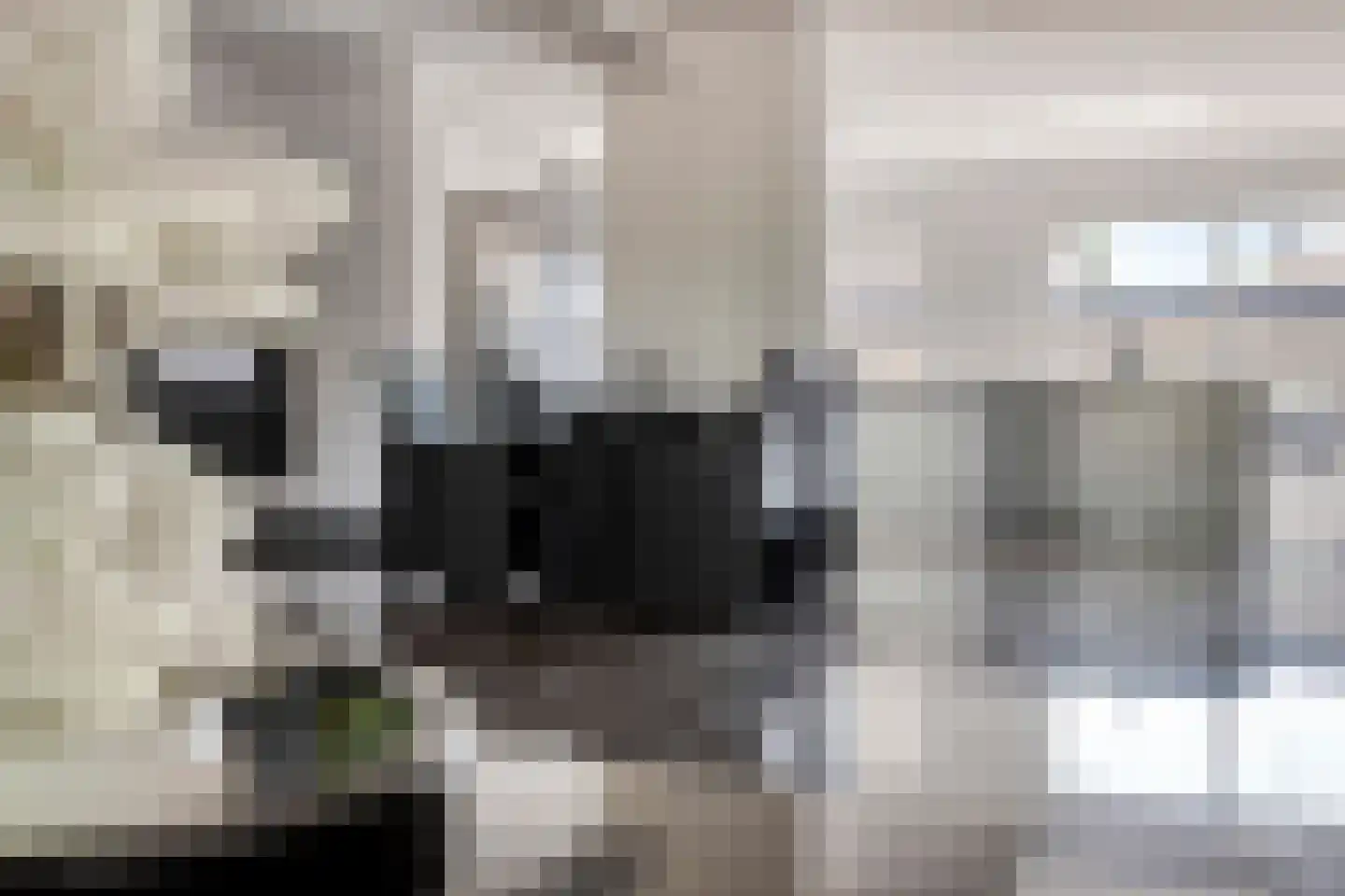 Kasteel Annendaelstraat 36 Roermond thumbnail 10