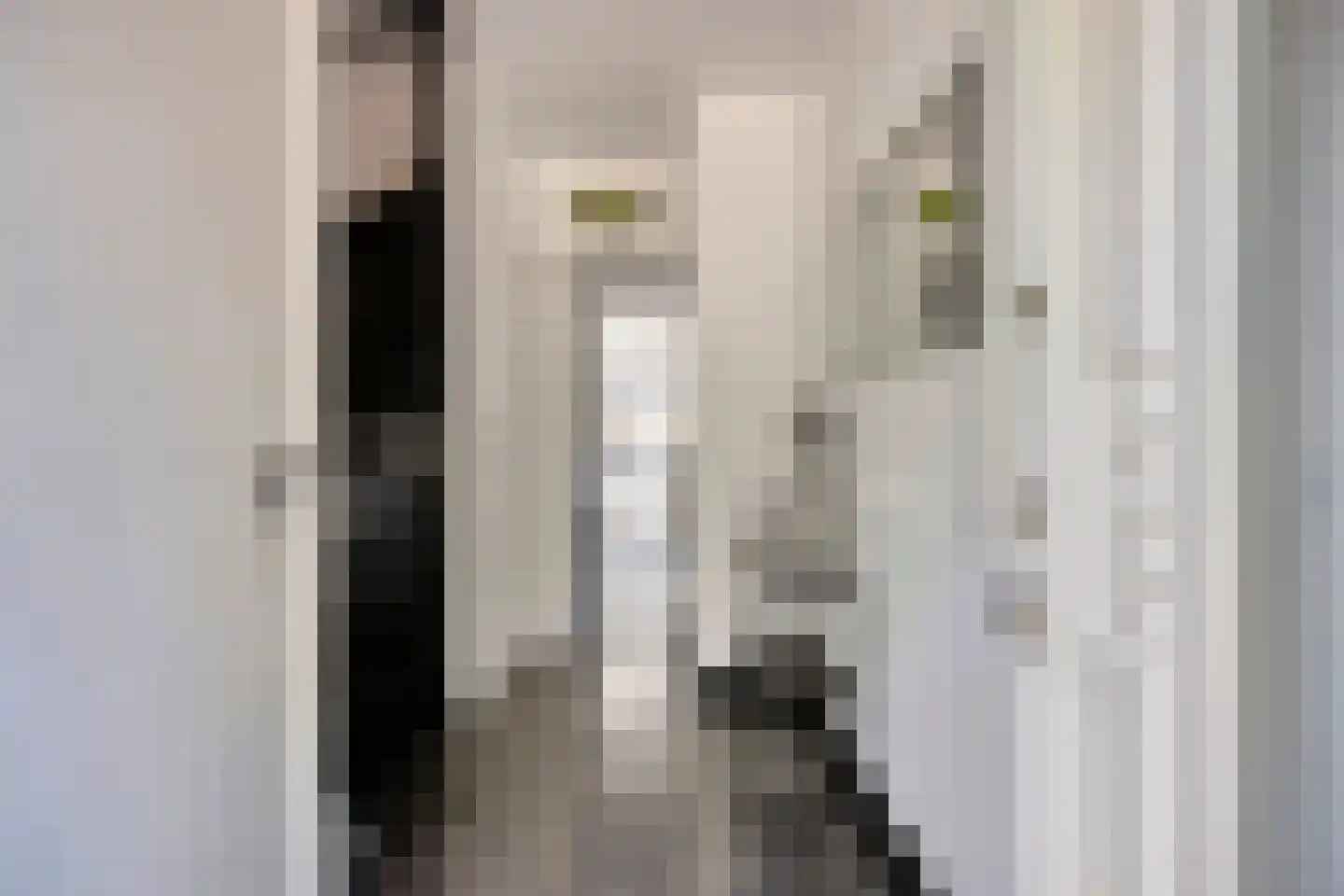 Kasteel Annendaelstraat 36 Roermond thumbnail 5
