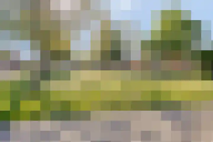 Kasteel Annendaelstraat 7 Roermond thumbnail 43
