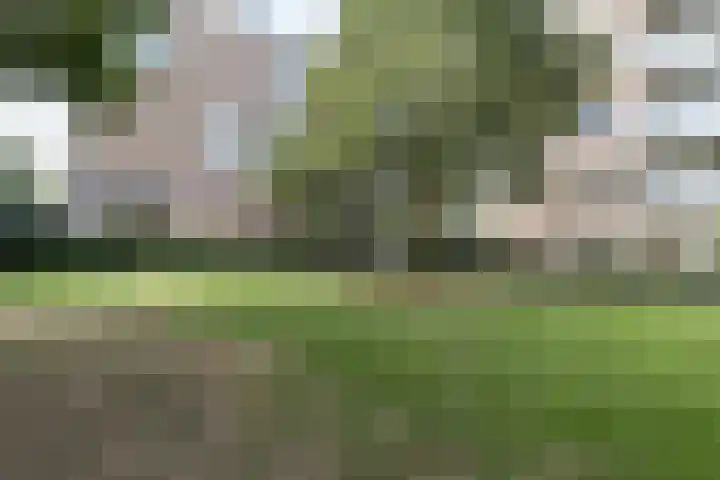 Kasteel Beusdaelplein 10 A Maastricht thumbnail 15