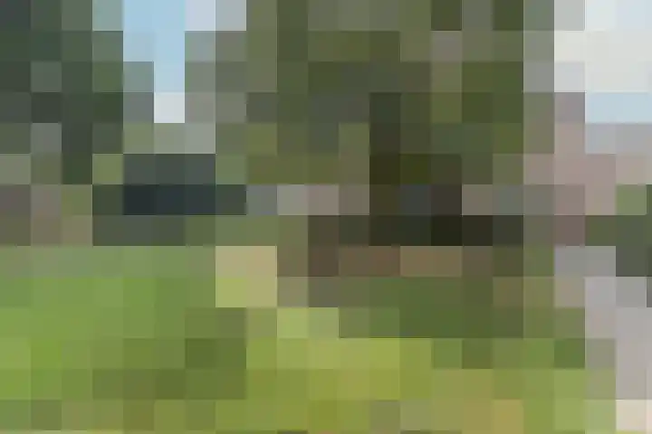 Kasteel Beusdaelplein 10 A Maastricht thumbnail 17