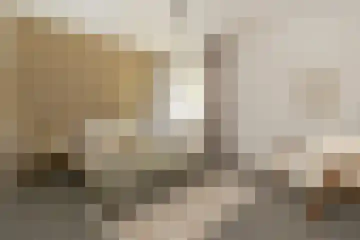 Kasteel Beusdaelplein 10 A Maastricht thumbnail 8