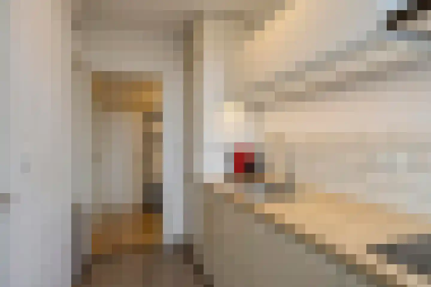 Kasteel Bleienbeekstraat 21 B Maastricht thumbnail 9