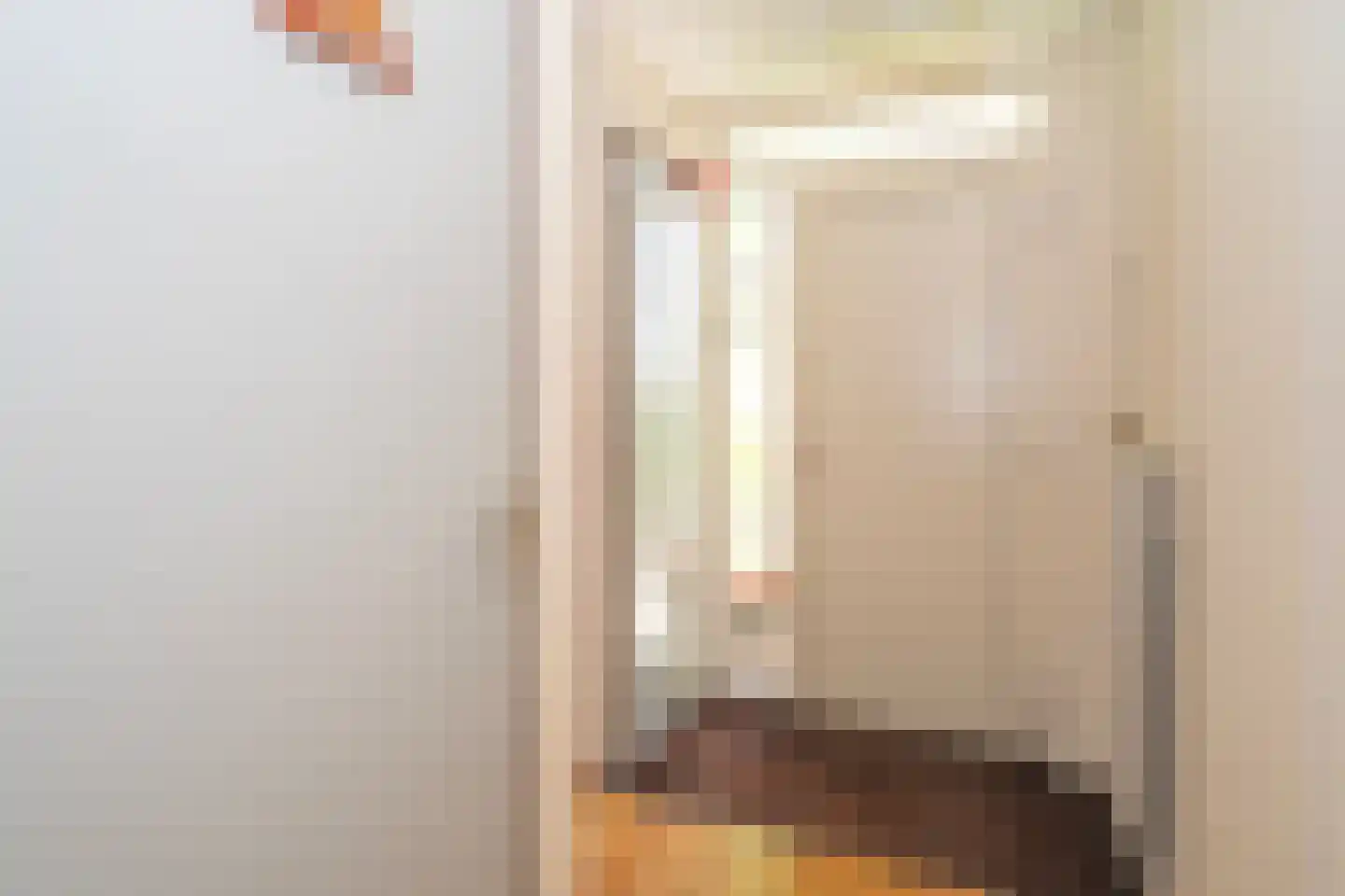 Kasteel Cannestraat 37 Tilburg thumbnail 12