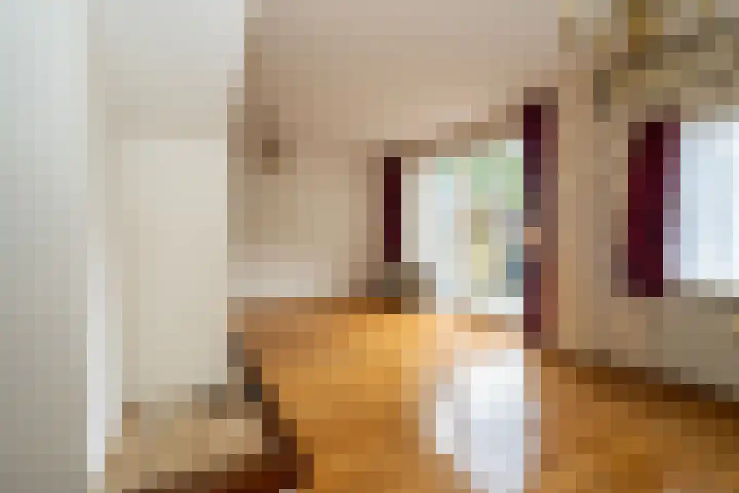 Kasteel Cannestraat 37 Tilburg thumbnail 15