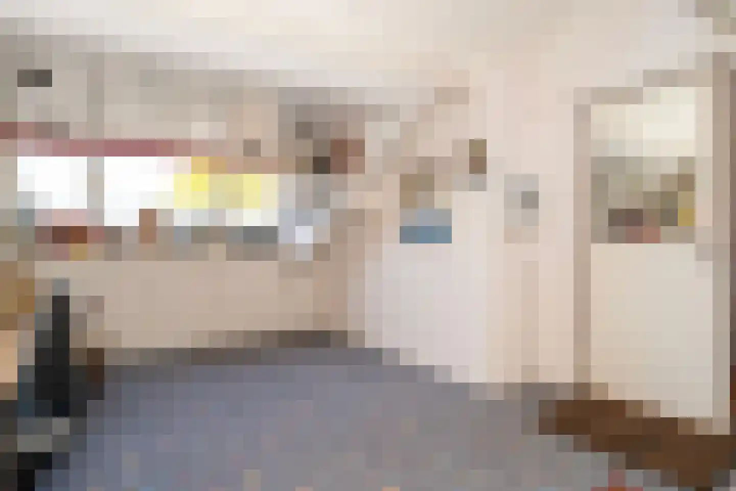 Kasteel Cannestraat 37 Tilburg thumbnail 29