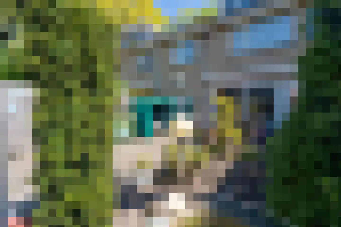 Kasteel Cannestraat 37 Tilburg thumbnail 30