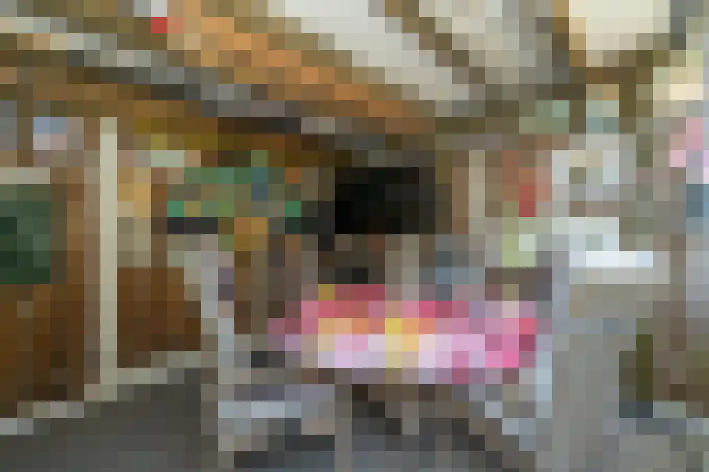 Kasteel Cannestraat 37 Tilburg thumbnail 32
