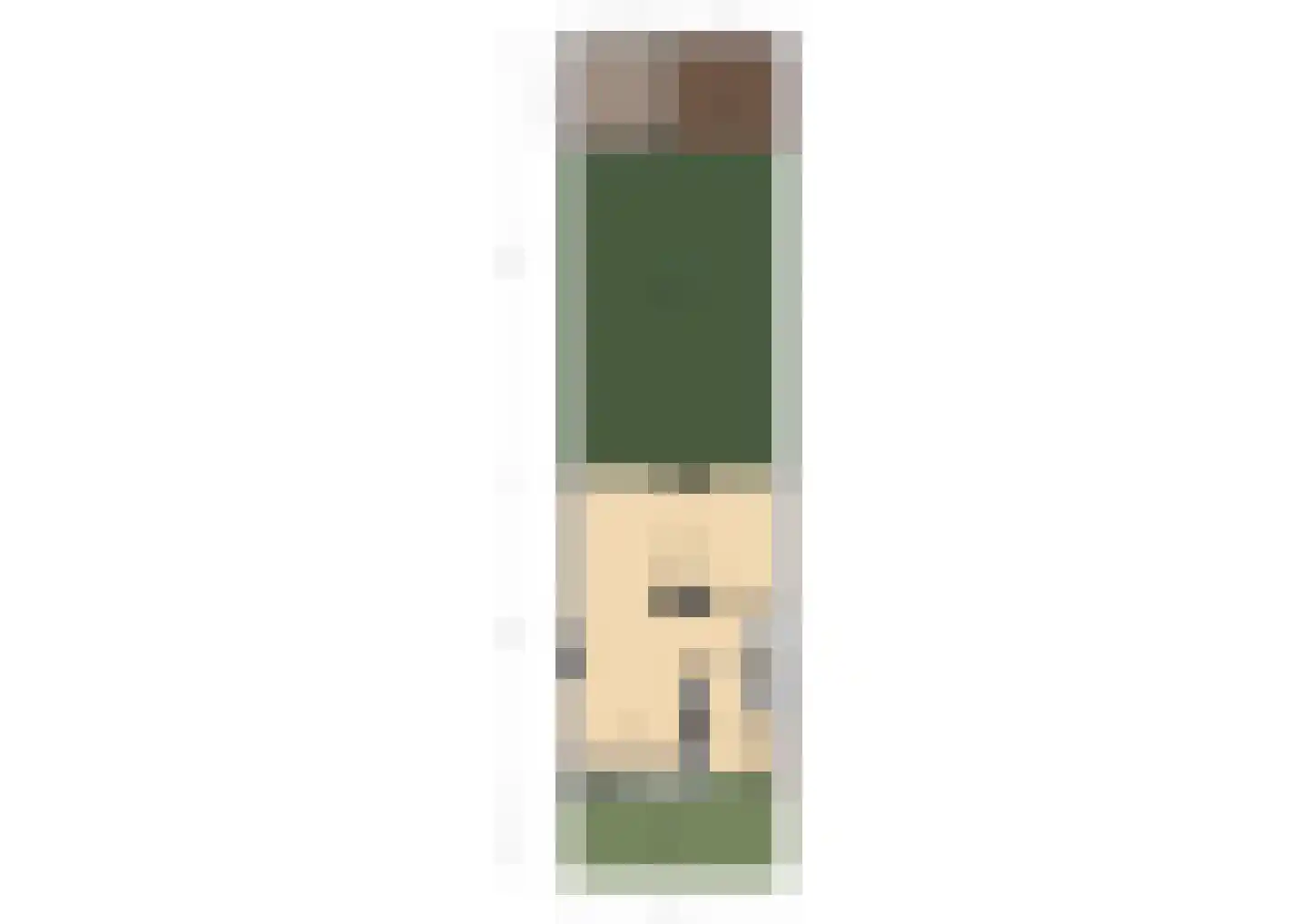 Kasteel Cannestraat 37 Tilburg thumbnail 34