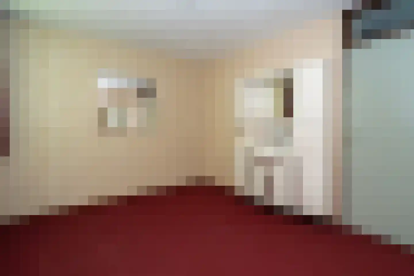 Kasteel Cannestraat 37 Tilburg thumbnail 35