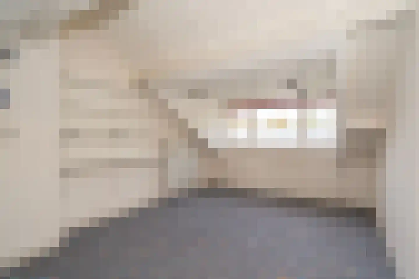 Kasteel Cannestraat 37 Tilburg thumbnail 45