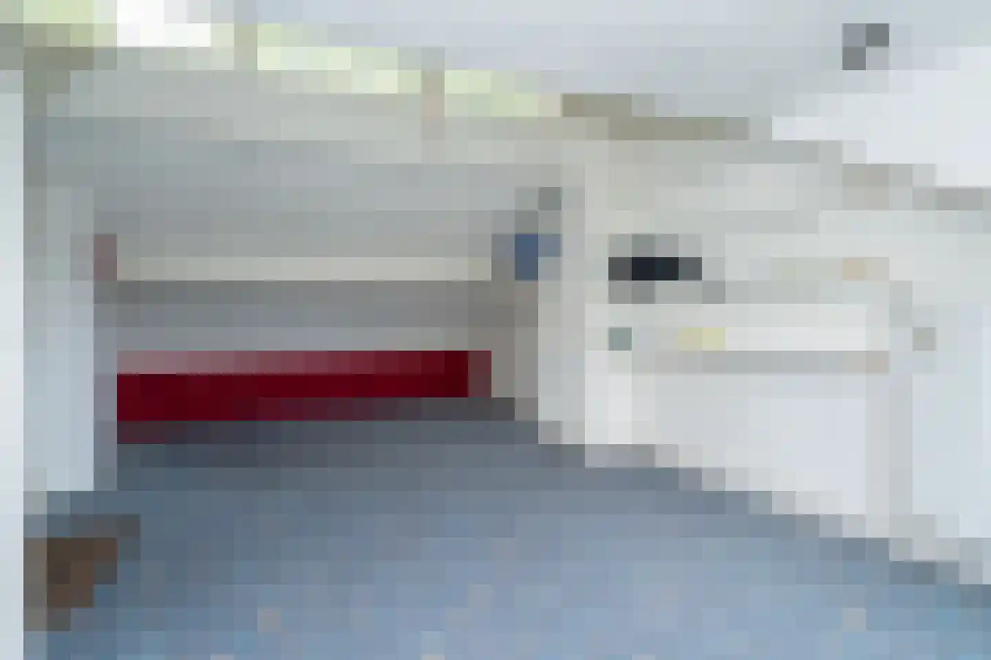 Kasteel Cannestraat 37 Tilburg thumbnail 56