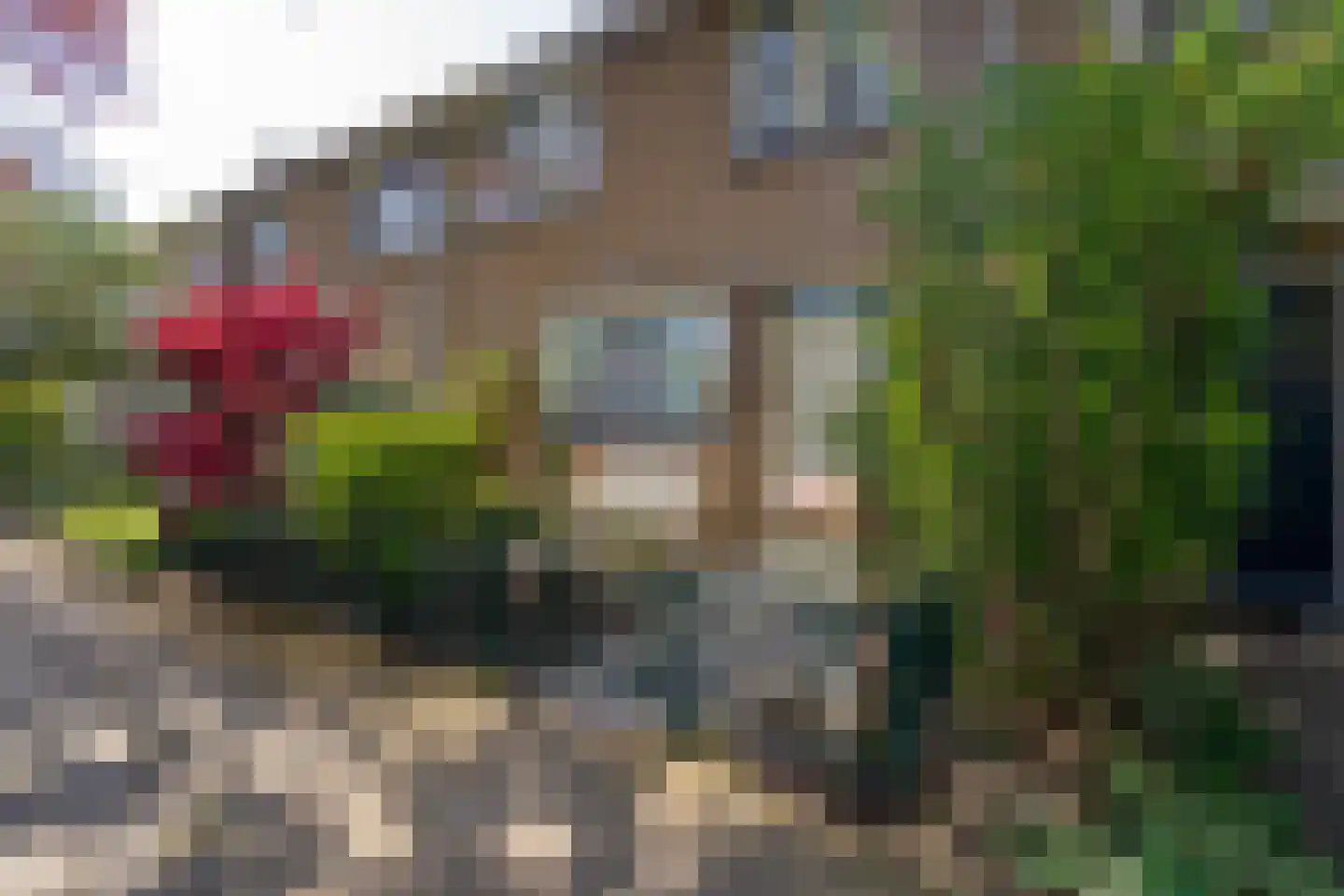 Kasteel Cannestraat 37 Tilburg thumbnail 58