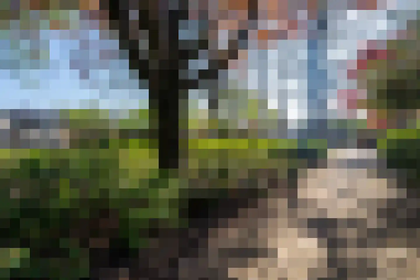 Kasteel Cannestraat 37 Tilburg thumbnail 7
