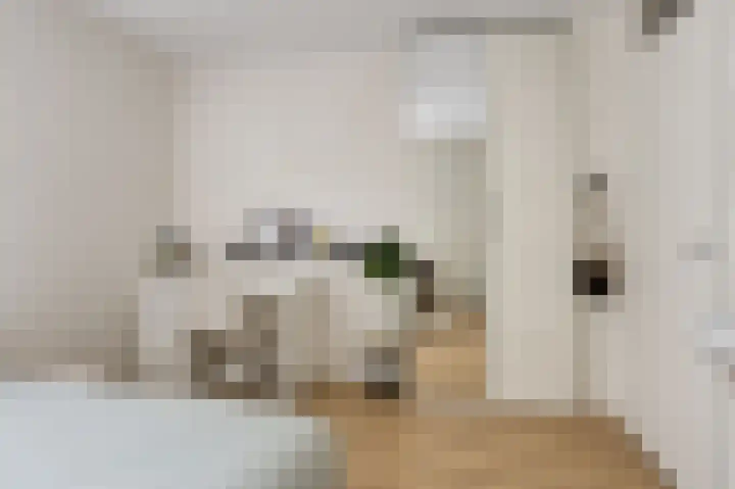 Kasteel Cannestraat 71 Tilburg thumbnail 22