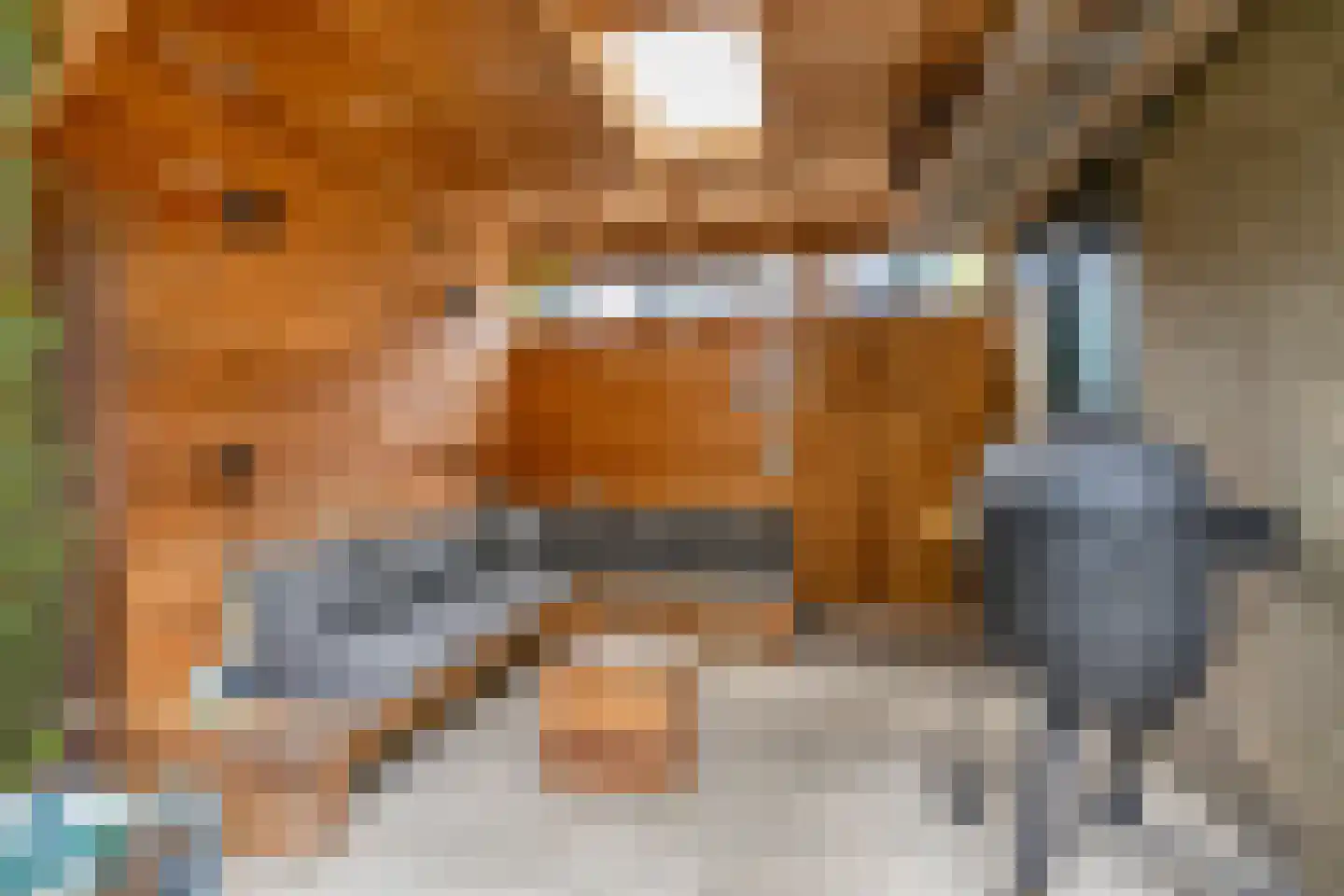 Kasteel Cannestraat 71 Tilburg thumbnail 33