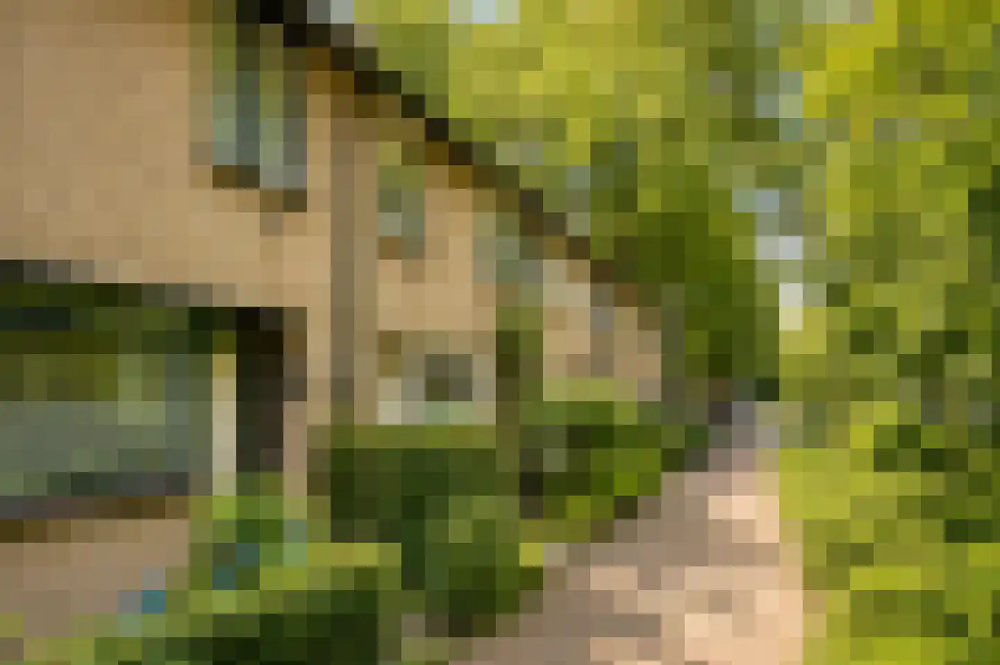 Kasteel Cannestraat 71 Tilburg thumbnail 36