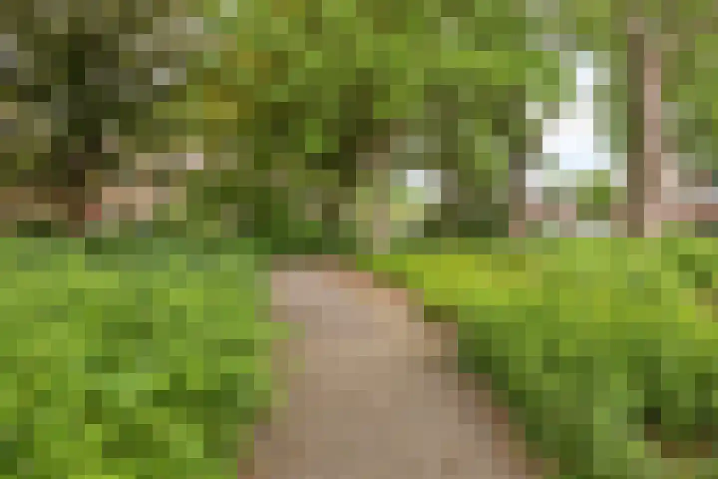 Kasteel Cannestraat 71 Tilburg thumbnail 37