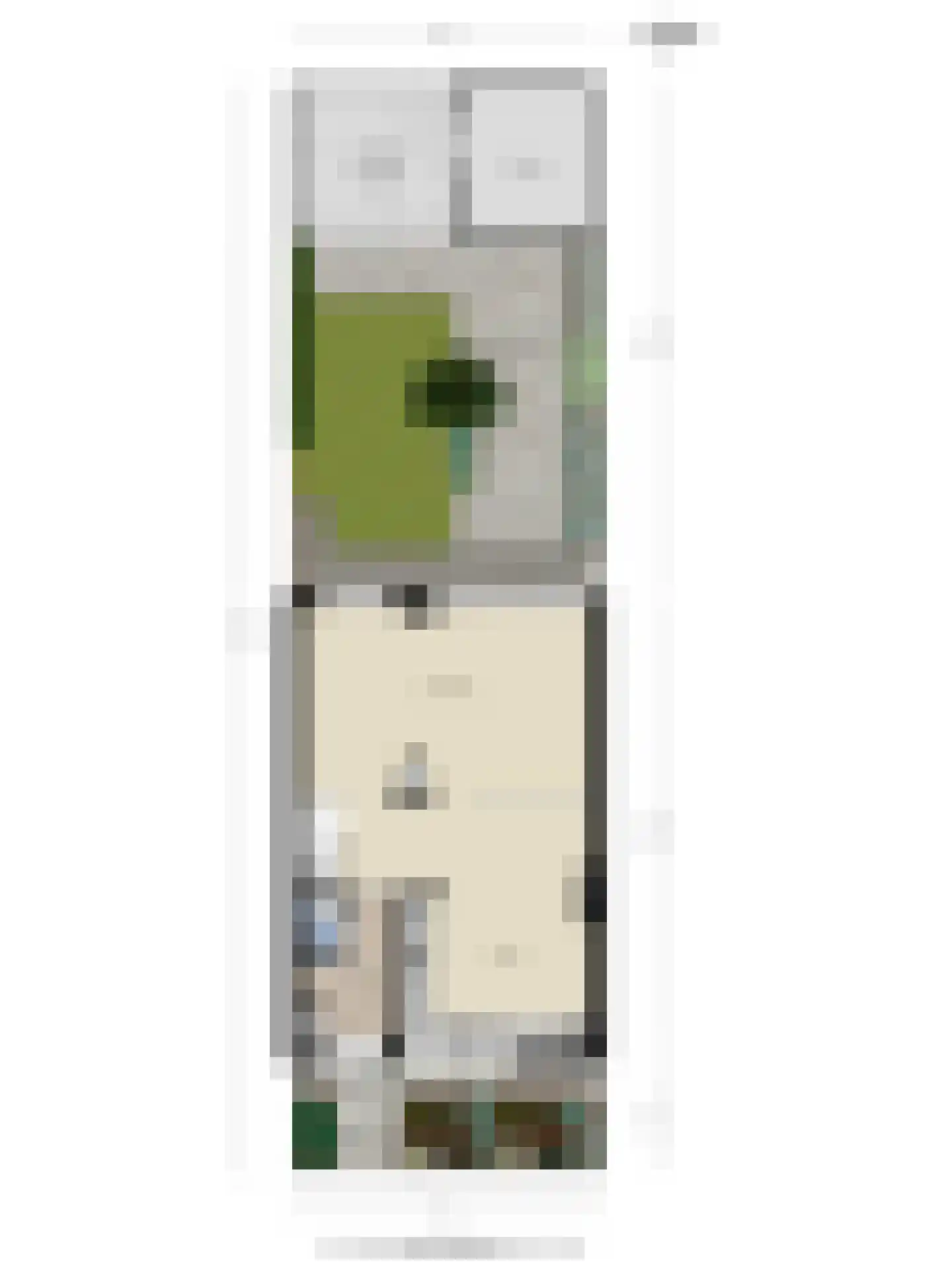 Kasteel Cannestraat 71 Tilburg thumbnail 39