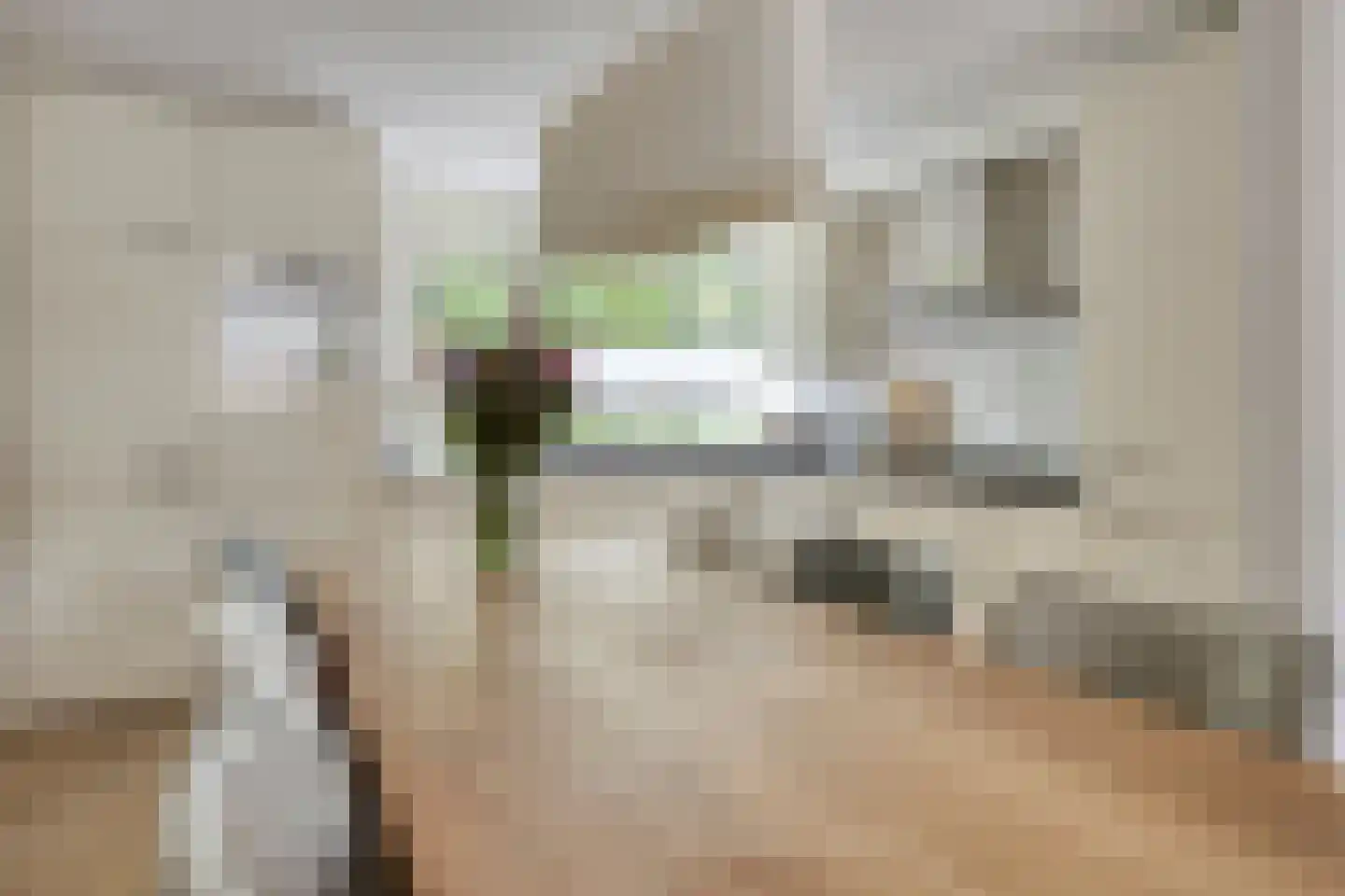 Kasteel Cannestraat 71 Tilburg thumbnail 4