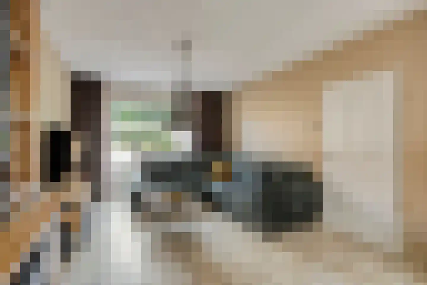 Kasteel Daelenbroeckstraat 103 Roermond thumbnail 11