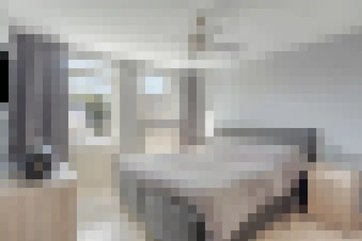 Kasteel Daelenbroeckstraat 103 Roermond thumbnail 20