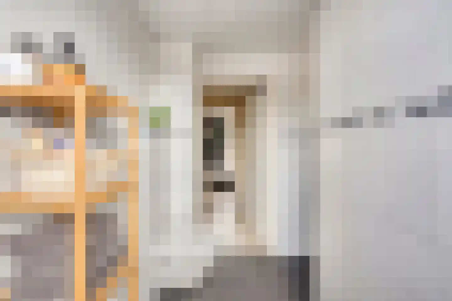 Kasteel Daelenbroeckstraat 103 Roermond thumbnail 26