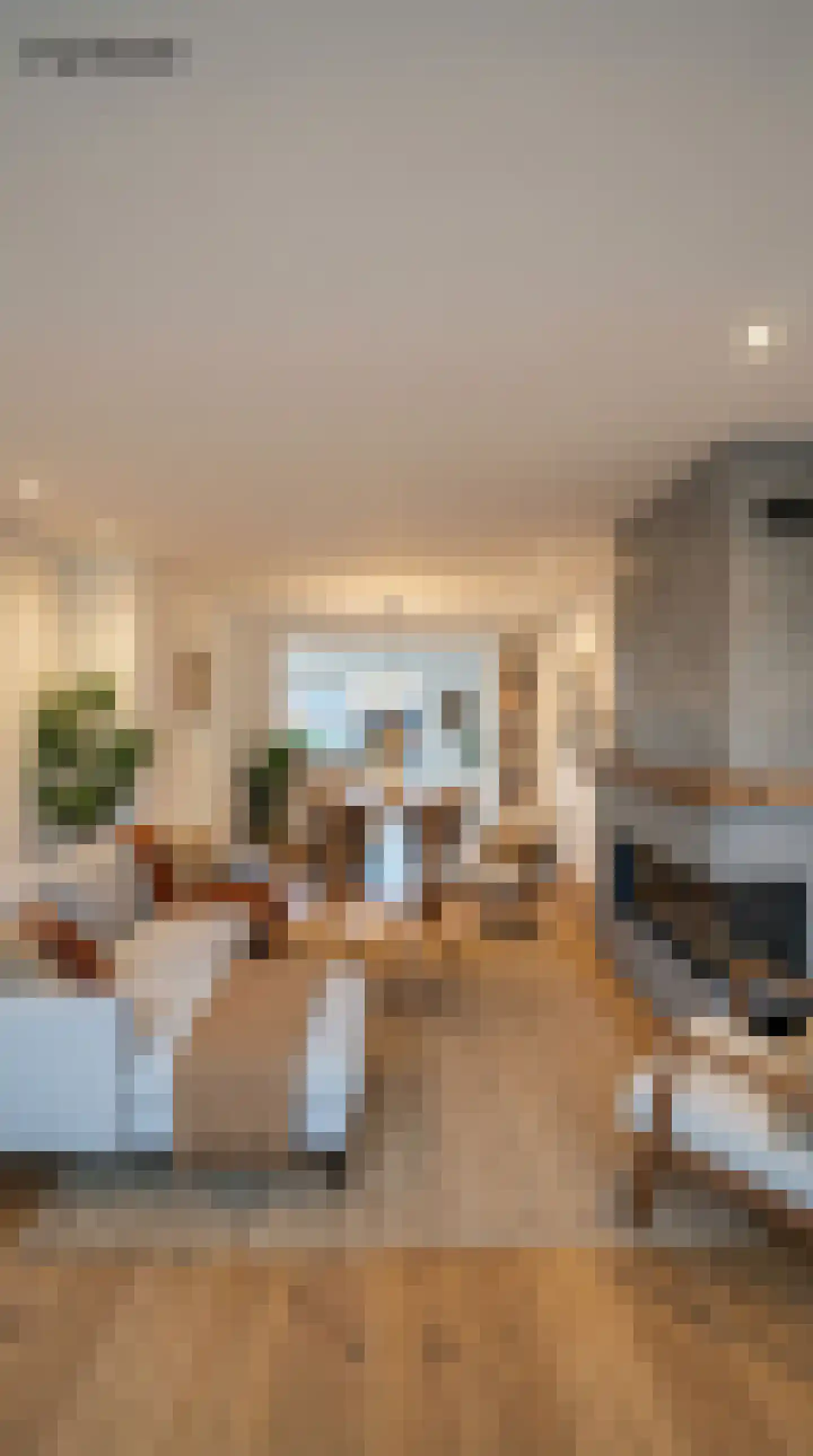 Kasteel Daelenbroeckstraat 38 Maastricht thumbnail 11
