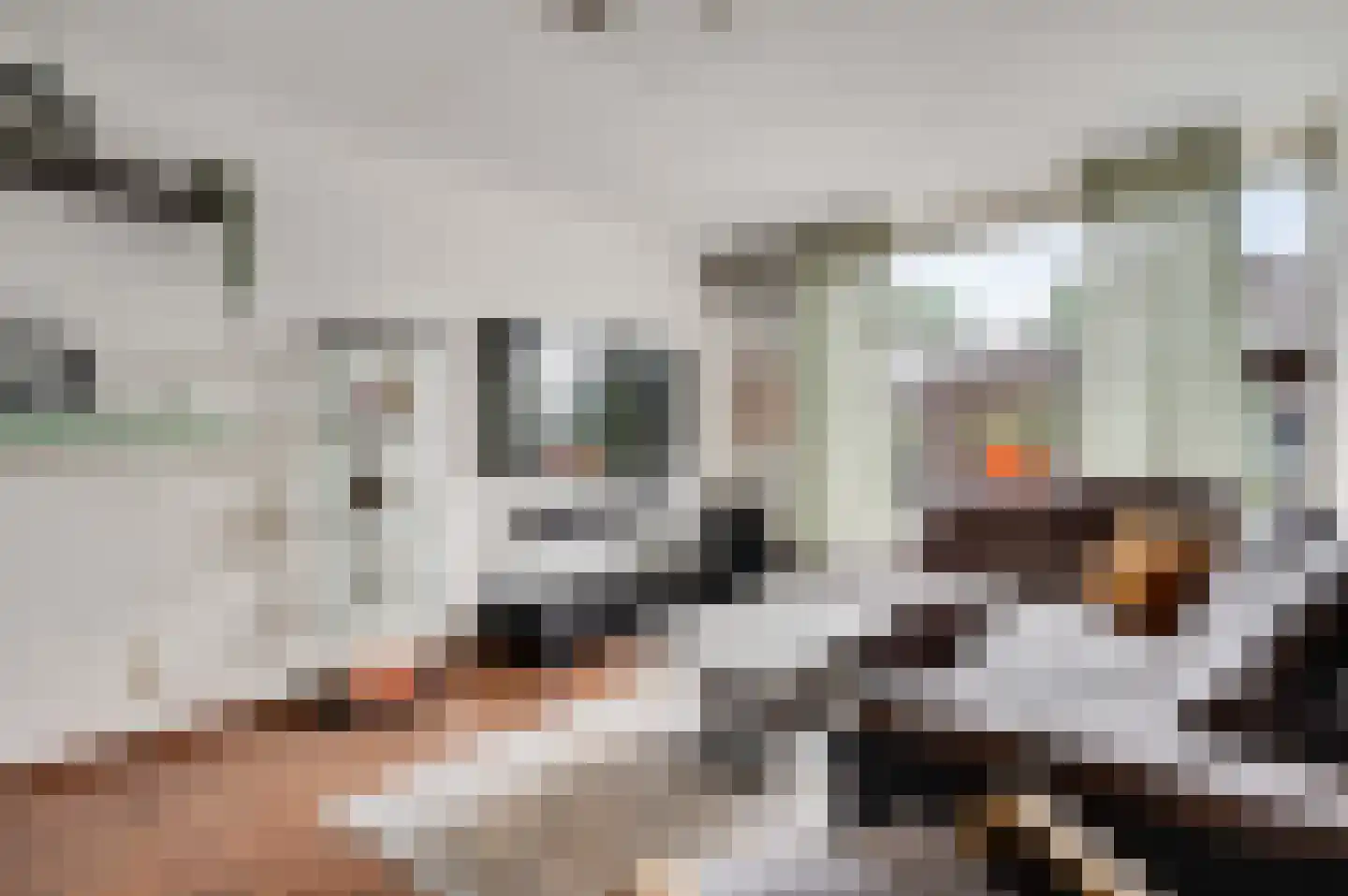 Kasteel Daelenbroeckstraat 45 Roermond thumbnail 10