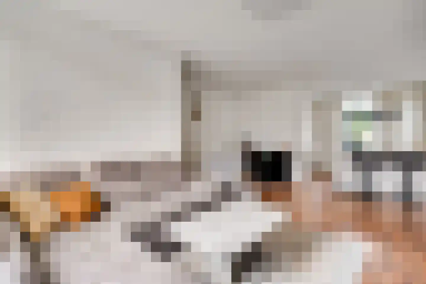Kasteel Daelenbroeckstraat 45 Roermond thumbnail 12
