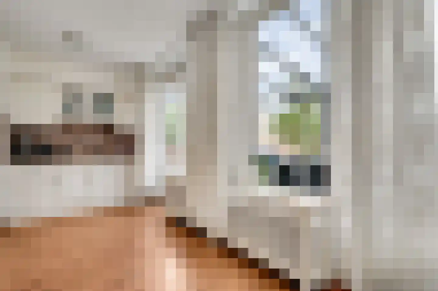 Kasteel Daelenbroeckstraat 45 Roermond thumbnail 13