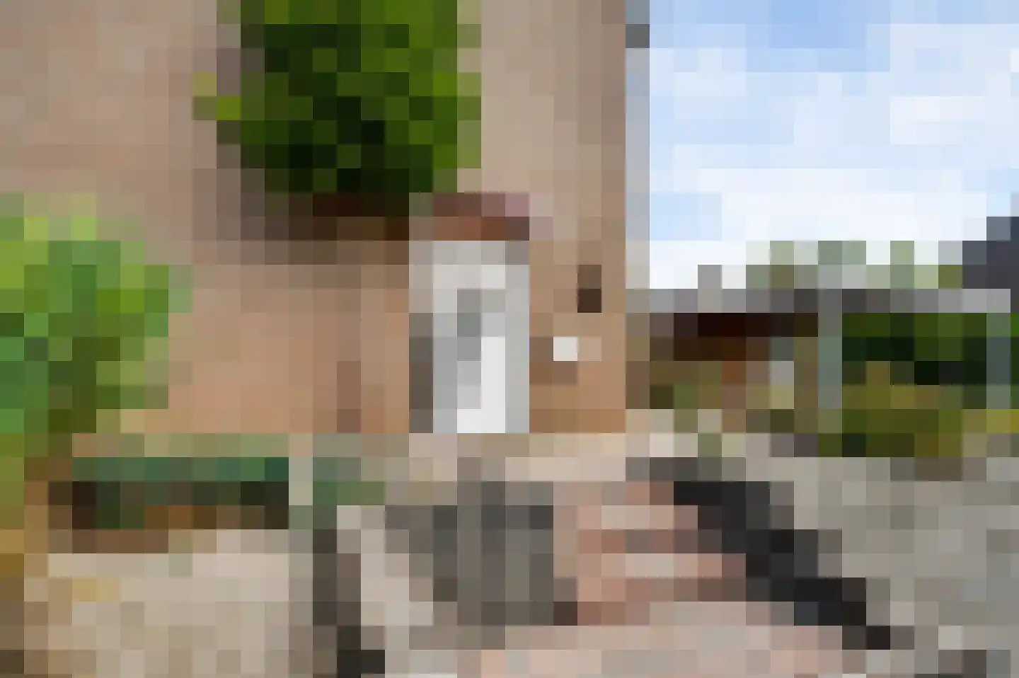 Kasteel Daelenbroeckstraat 45 Roermond thumbnail 8