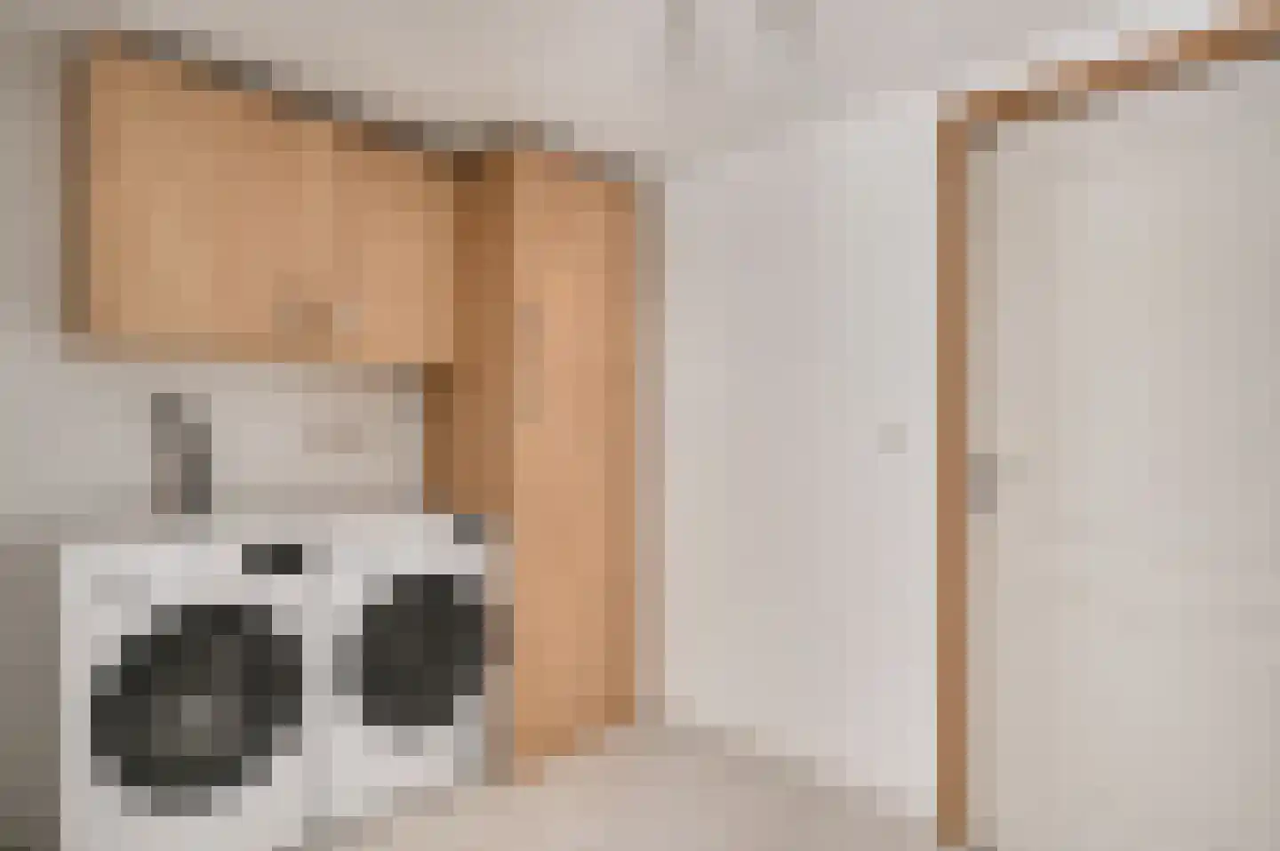 Kasteel Daelenbroeckstraat 97 Roermond thumbnail 14
