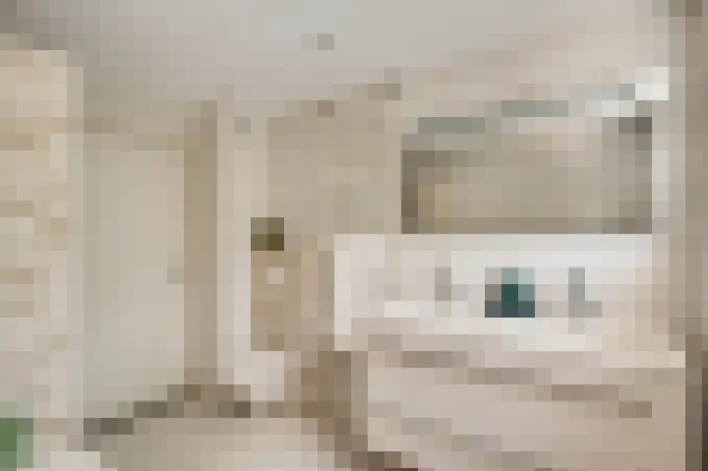 Kasteel Daelenbroeckstraat 97 Roermond thumbnail 24