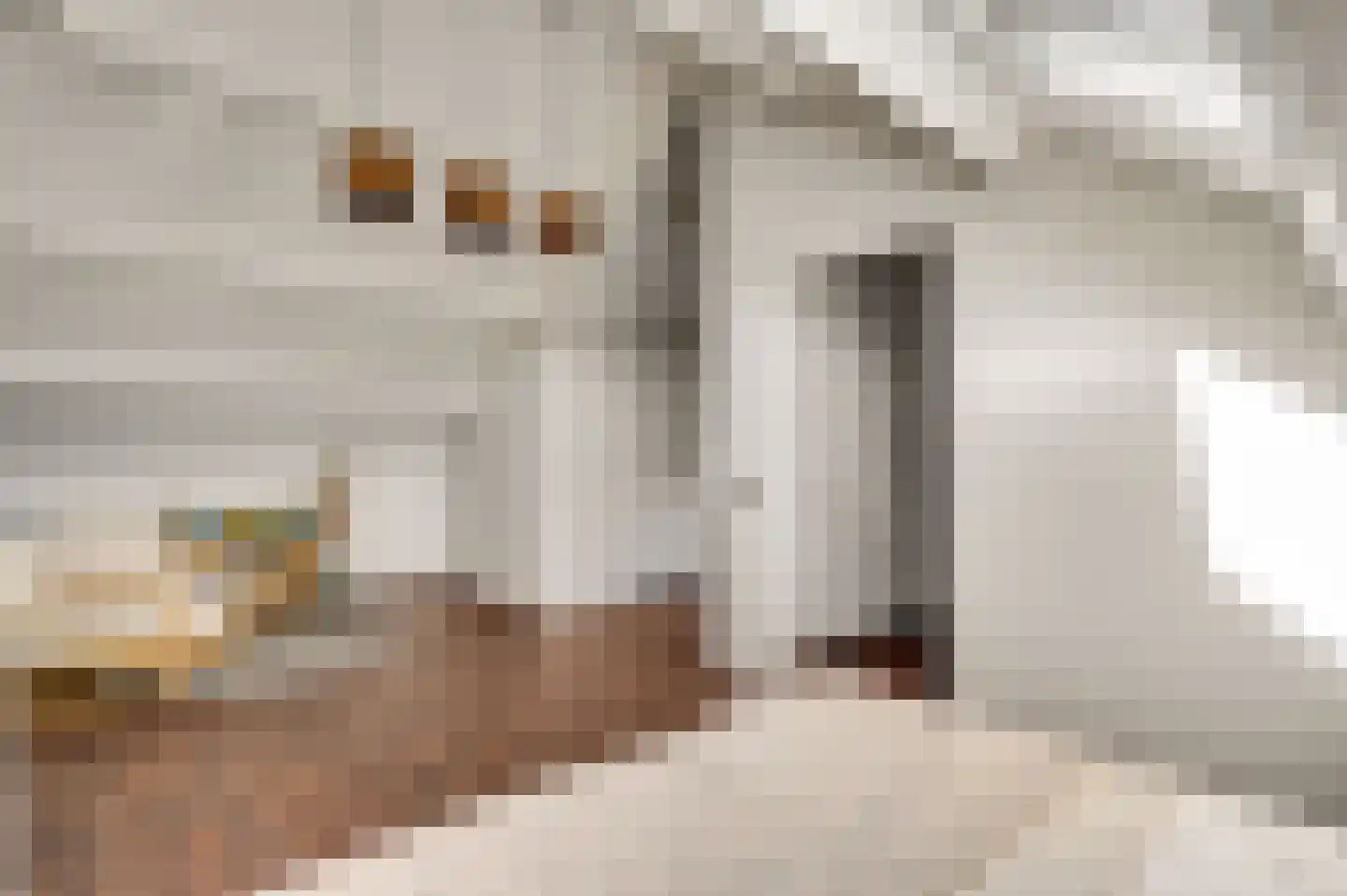 Kasteel Daelenbroeckstraat 97 Roermond thumbnail 28