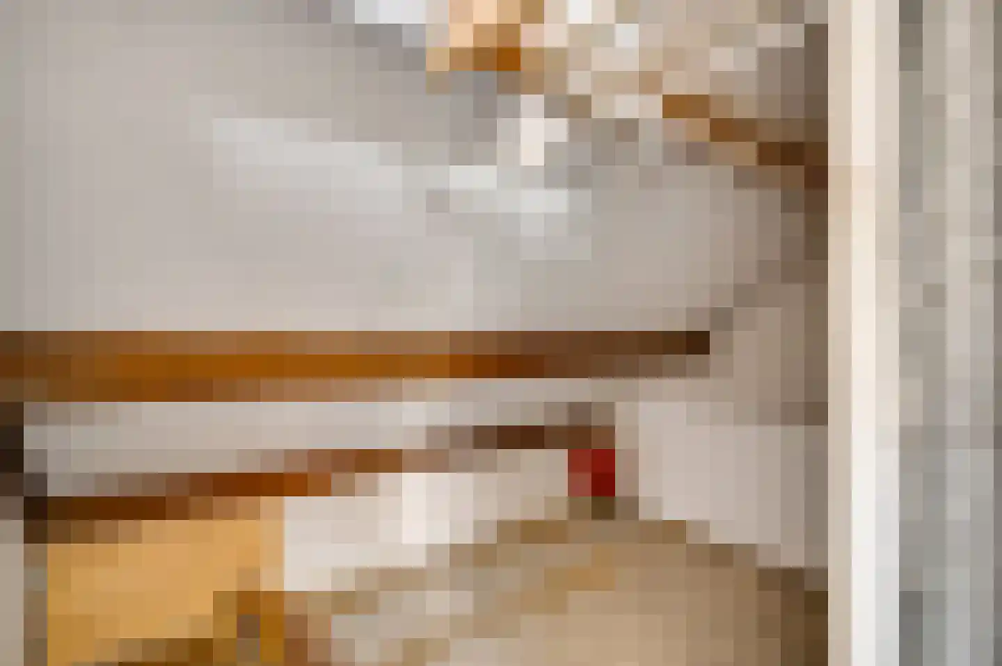 Kasteel Daelenbroeckstraat 97 Roermond thumbnail 30