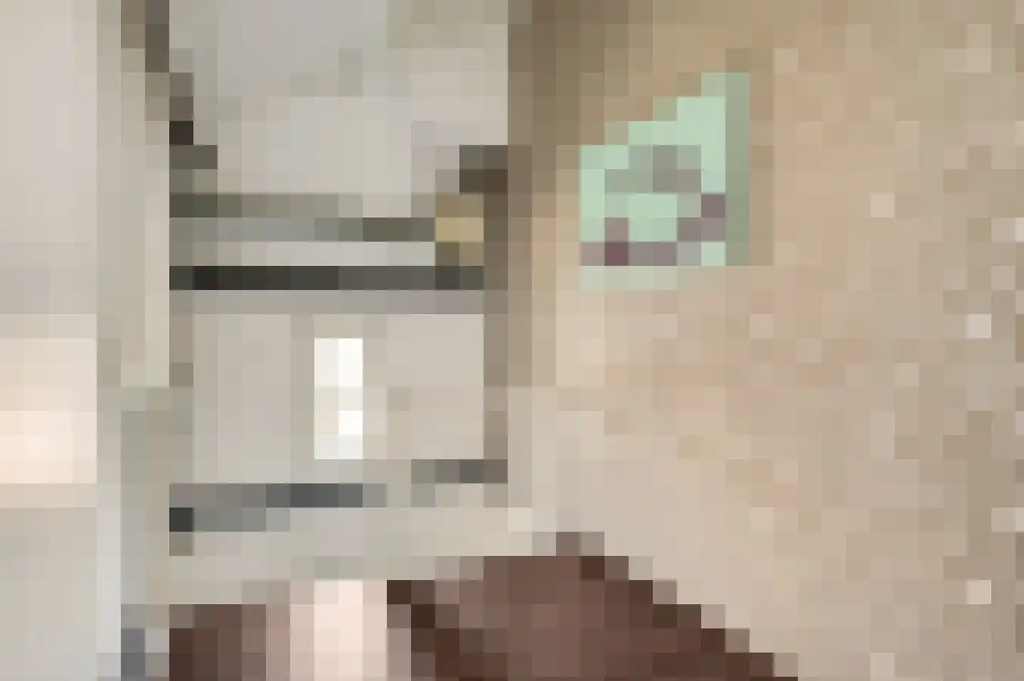 Kasteel Daelenbroeckstraat 97 Roermond thumbnail 31