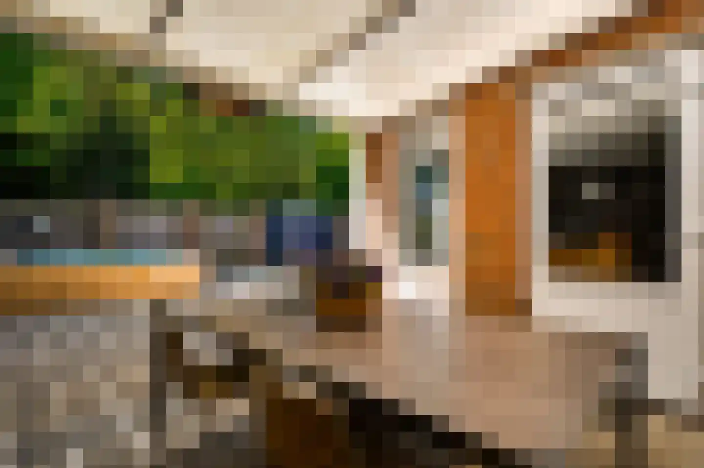 Kasteel Daelenbroeckstraat 97 Roermond thumbnail 35