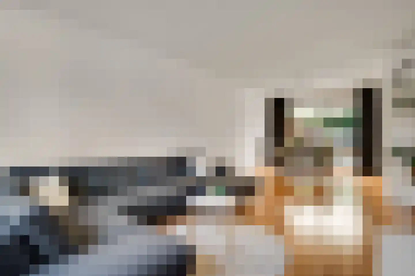 Kasteel Daelenbroeckstraat 97 Roermond thumbnail 5