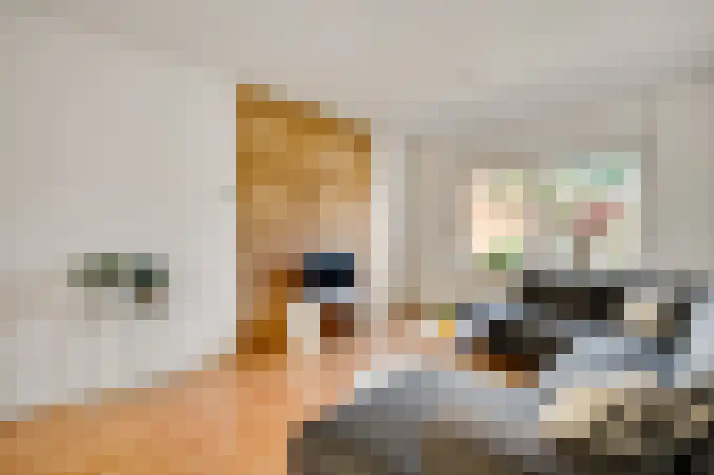 Kasteel Daelenbroeckstraat 97 Roermond thumbnail 6