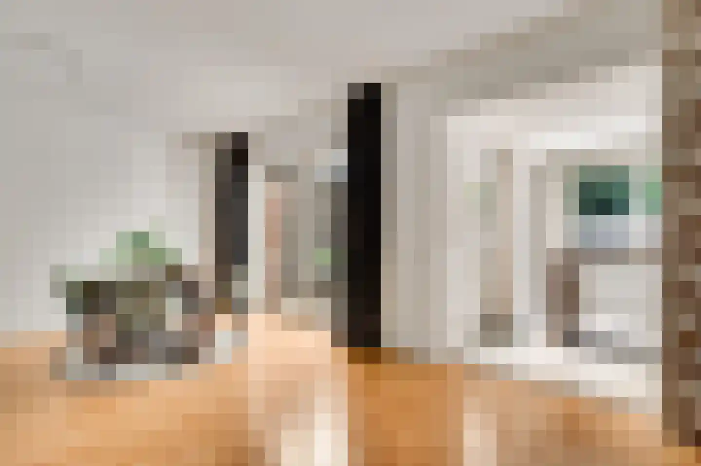 Kasteel Daelenbroeckstraat 97 Roermond thumbnail 9