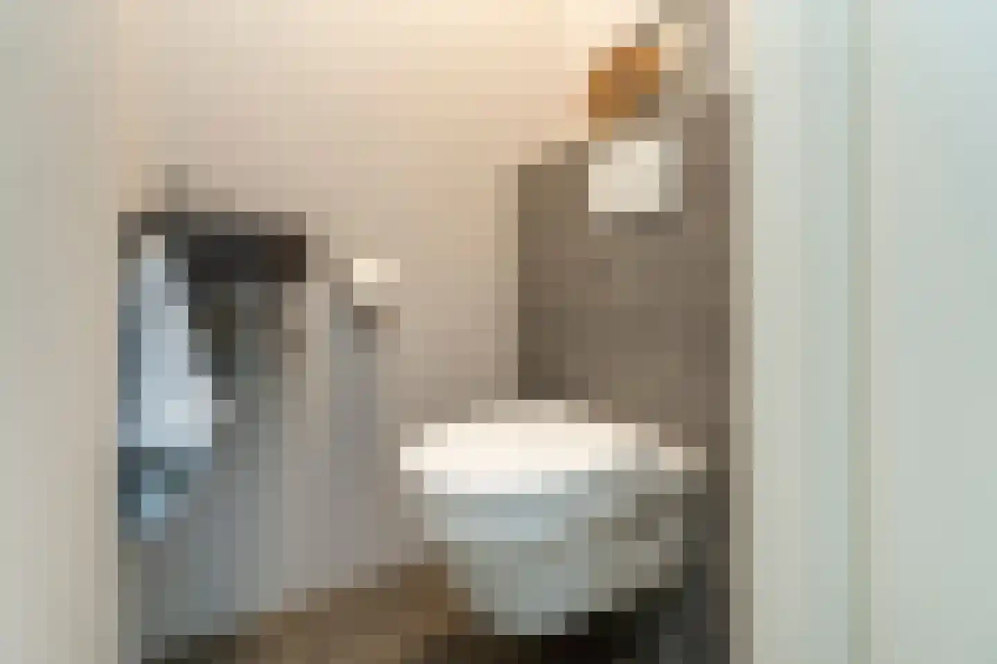 Kasteel Doorwerthstraat 17 Tilburg thumbnail 18