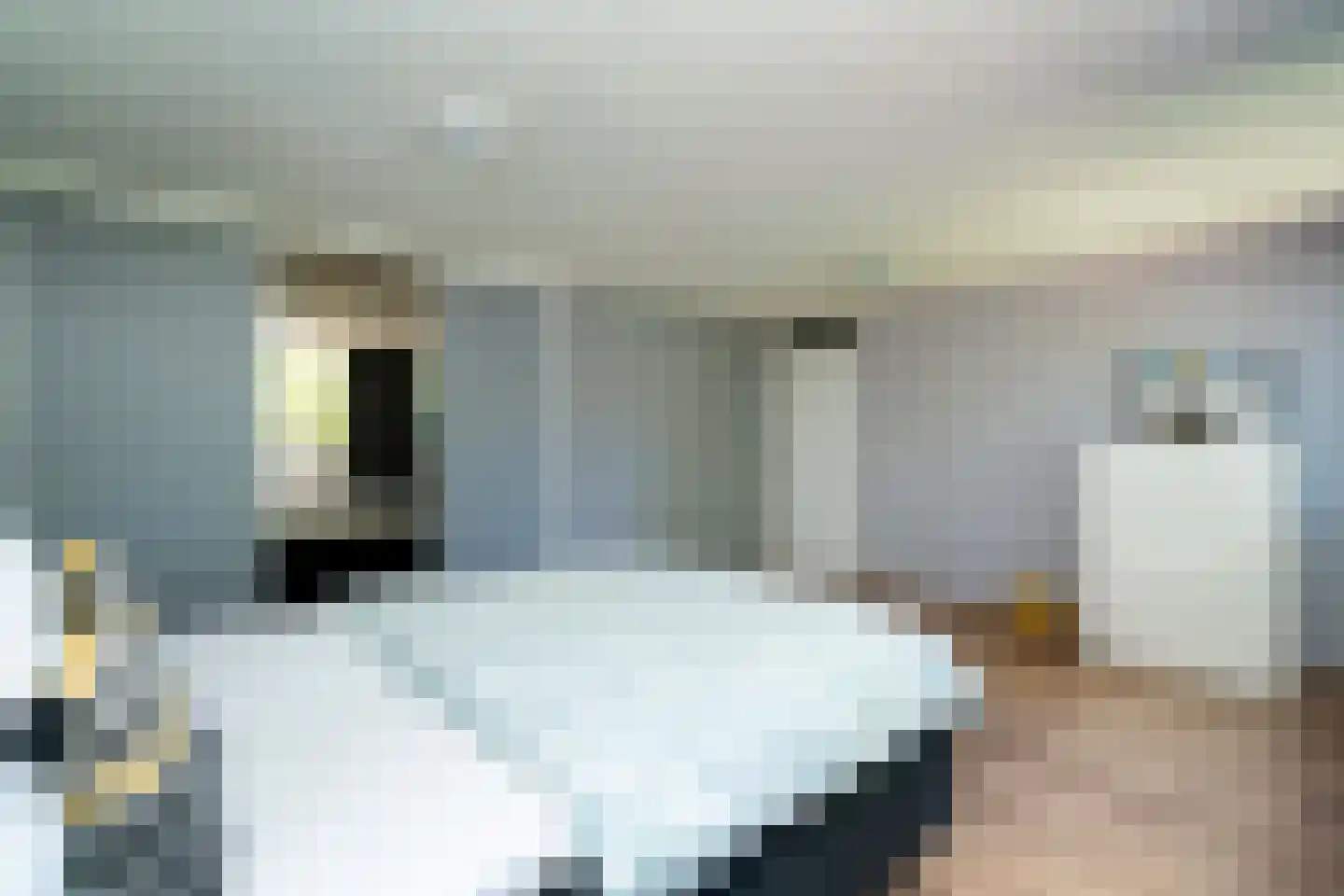 Kasteel Doorwerthstraat 17 Tilburg thumbnail 23