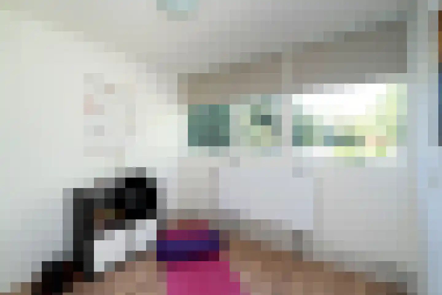 Kasteel Doorwerthstraat 17 Tilburg thumbnail 28