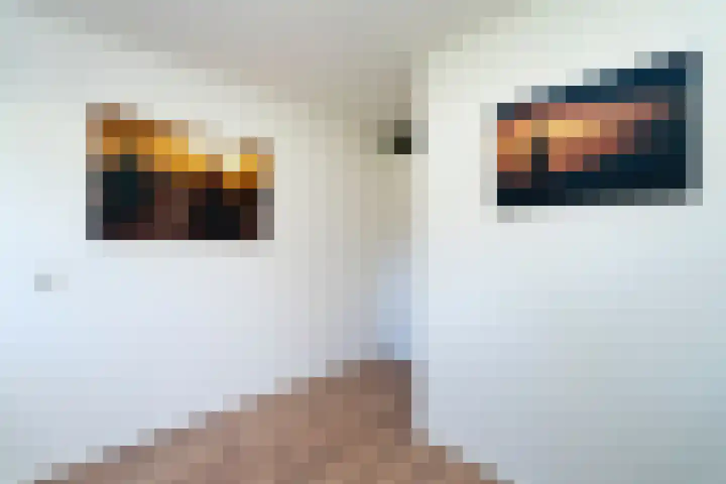 Kasteel Doorwerthstraat 17 Tilburg thumbnail 30
