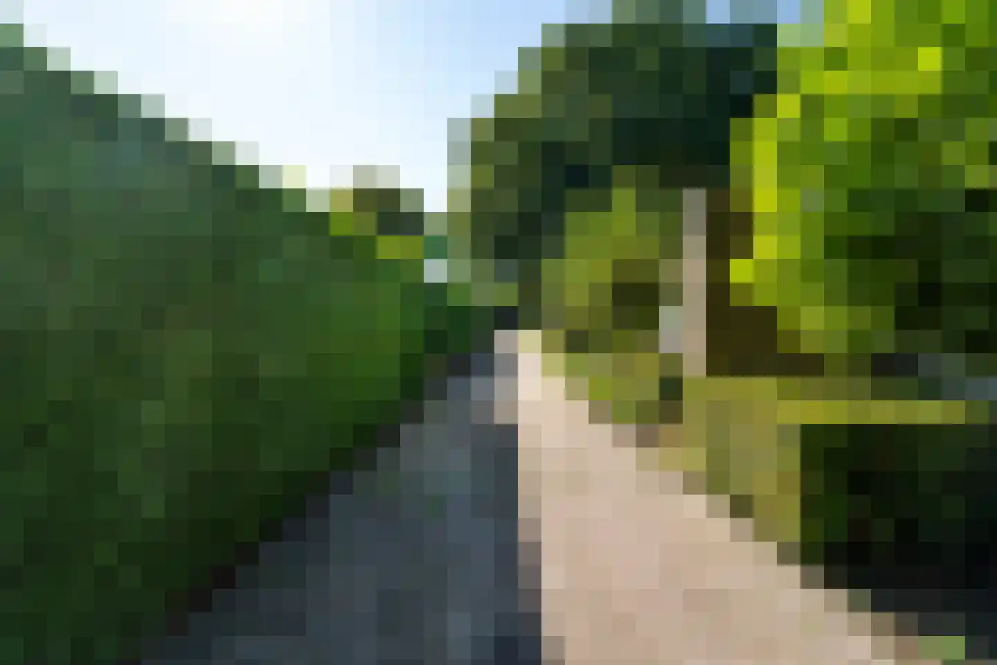 Kasteel Doorwerthstraat 17 Tilburg thumbnail 39