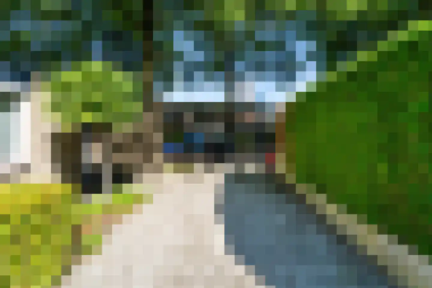 Kasteel Doorwerthstraat 17 Tilburg thumbnail 40